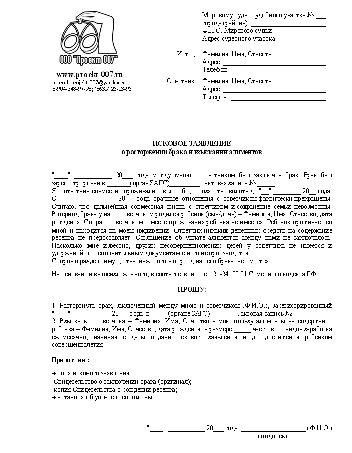 образец искового заявления на развод в суд украина - фото 3