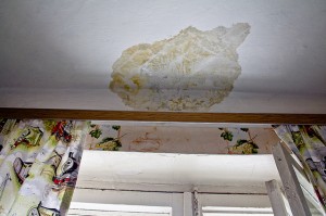 жалоба в жилищную инспекцию образец протечка крыши