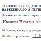Образец заявления на загранпаспорт хабаровск
