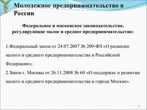 Закон о развитии малого и среднего предпринимательства в РФ
